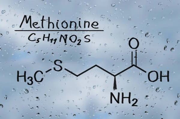 metiyonin